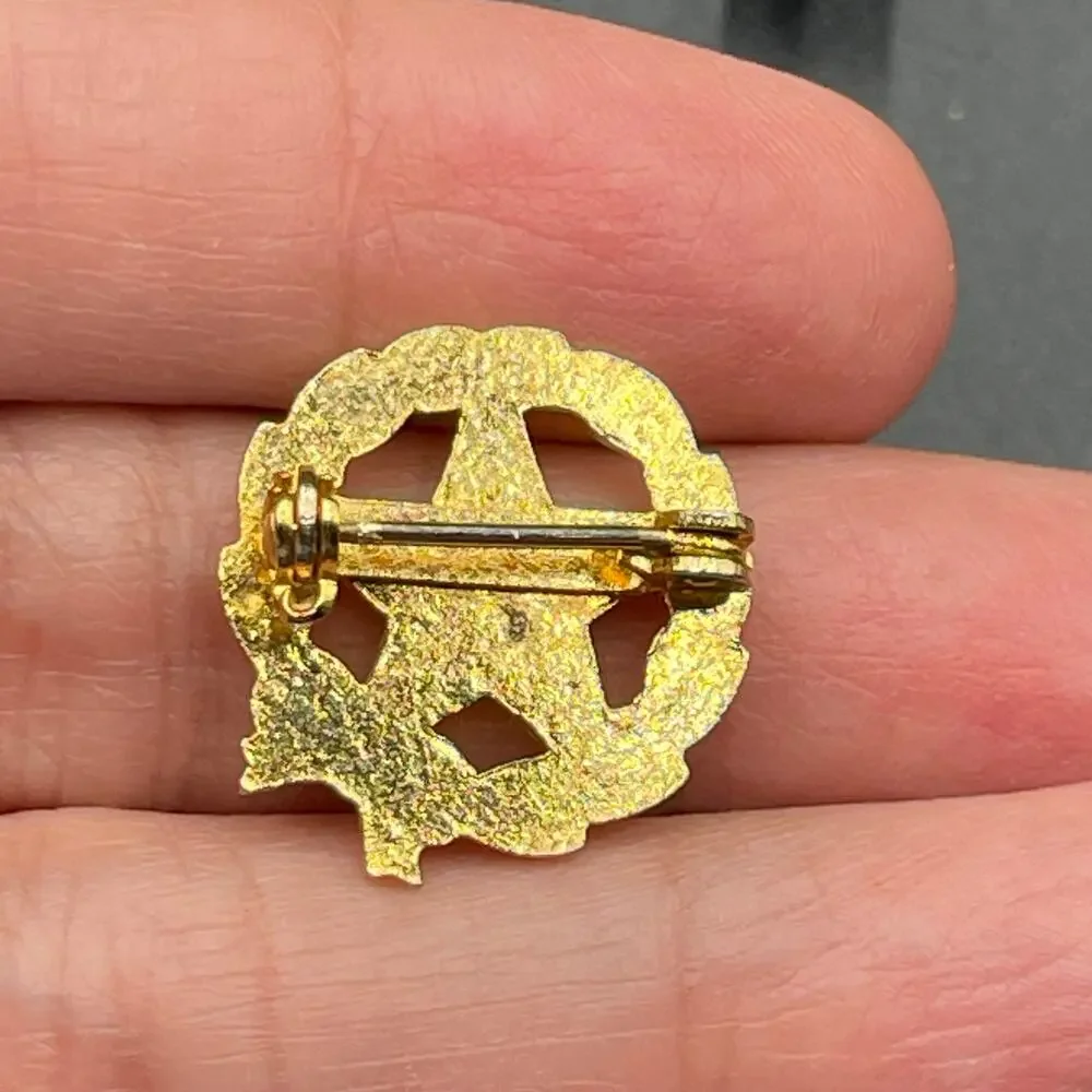 Order of the Eastern Star Lapel Pin 50 Year Member Vtg Gold Tone 1